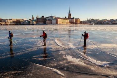 Aventura de patinaje sobre hielo por Estocolmo para principiantes